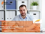 Mitarbeiter/in (m/w/d) in der Lohnbuchhaltung - Dannstadt-Schauernheim