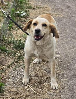 TUTTI ist eine sanfte sensible Seele ♥️ - München