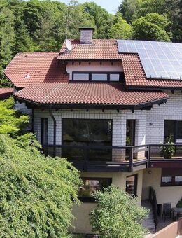 Großzügiges Familienhaus mit Einliegerwohnung und herrlichem Blick über das Neckartal - von privat - Neckarsteinach