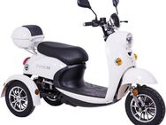 ZTECH Elektromobil X3, 2200 W, 25 km/h
