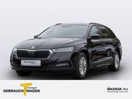 Skoda Octavia Combi 2.0 TDI DSG AMBITION AHK COLUMBUS KAMERA LED - Werdohl