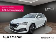 Skoda Octavia, 2.0 TDI Combi STYLE, Jahr 2023 - Burgwald