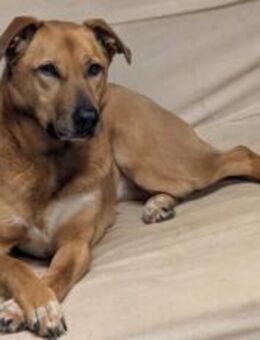 Die süße Finja möchte noch viel erleben - München