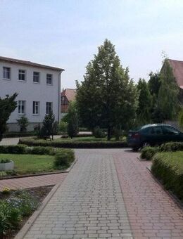 3-Raum Wohnung barrierefrei im EG neu saniert - Falkenstein (Harz)