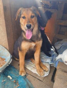 Fenja ❤️ - Rambin