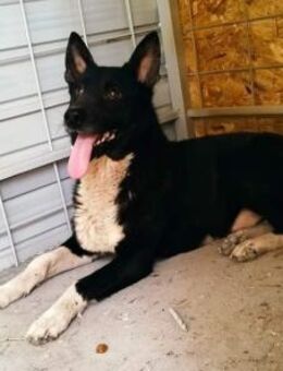 Pablo - will vertrauen - Dreikirchen