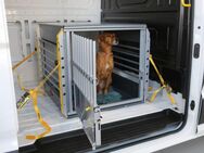 Opel/Renault Kleinmetall Hundebox MultiCage Einzelbox *Borgmann* - Krefeld