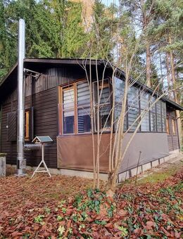 Kanada-Flair-Waldbaden und Auszeit genießen im Ferienhaus mit Nebengebäude u. Garage in Waldrandlage - Neukirchen (Sulzbach-Rosenberg)