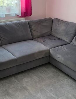 Couch mit Bettauszug - Frankenthal (Pfalz) Zentrum