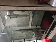 Wunderschöne Wohnung 4 Raum Zwickau Marienthal neu saniert zu verkaufen - Zwickau