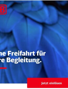 Deutsche Bahn-Mitfahrt-Freifahrt zu verschenken, siehe Fotos - Hamburg