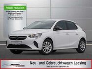 Opel Corsa 1.2 Edition //PDC/Klima/Sitzheizung/Kamera - Thannhausen