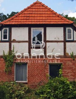 ***charmantes Bauernhaus mit Stall, Scheune und Weide*** - Karrenzin