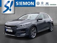 Kia XCeed, 1.4 T-GDI 7DCT Platinum R, Jahr 2019 - Lengerich (Nordrhein-Westfalen)