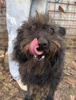 Beneth - wartet auf das große Los! - Köln