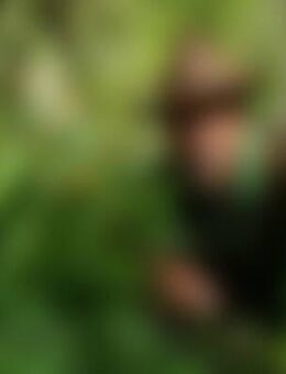 195*** - Rottach-Egern