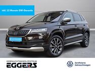 Skoda Karoq, 2.0 TDI Scout, Jahr 2020 - Verden (Aller)