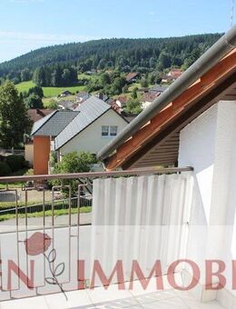 DG-Wohnung/2ZKB mit herrlichem Ausblick - Wald-Michelbach