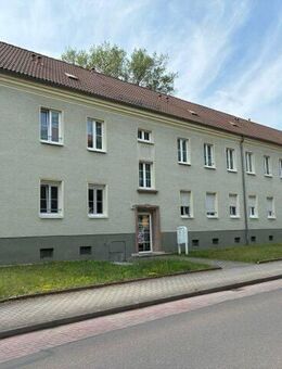 Kleine Hausgemeinschaft, viel Grün drumherum - frisch hergerichtet! - Großräschen