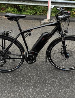Trekking Ebike - Prophete Entdecker e8.8 - Wissen