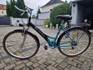 Verkaufe gut erhaltenes Damenrad - Neiße-Malxetal