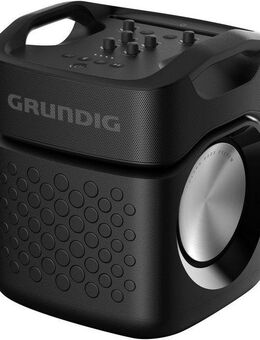Grundig PartyHit Max Party-Lautsprecher Stereo (Bluetooth, 160 W)
