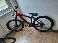 Verkaufe Mountainbike - Werdau