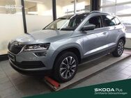 Skoda Karoq, 1.0 TSI Drive VORB SMART LINK, Jahr 2020 - Mühlheim (Main)