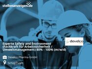 Experte Safety and Environment (Fachkraft für Arbeitssicherheit / Umweltmanagement) 80% - 100% (m/w/d) - Schopfheim