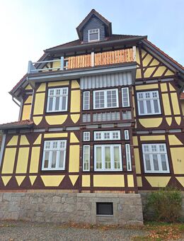 Sonnige 1 Raum-Wohnung - Ilsenburg (Harz)