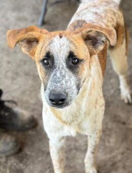 MIRAC ~ einfach zum Verlieben - Duisburg