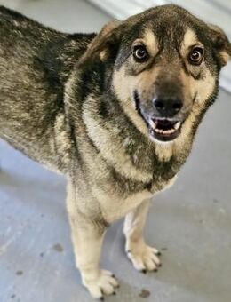 RAYA - sanft und liebevoll - Weilheim (Oberbayern)