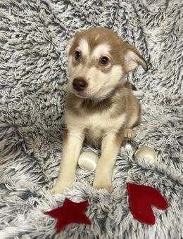 PATRIC - leidenschaftlich viel erleben - Overath