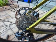 ROSE BACKROAD GRX RX810 Di2 2x11 evil pepper green 55cm Carbon - Wesseling