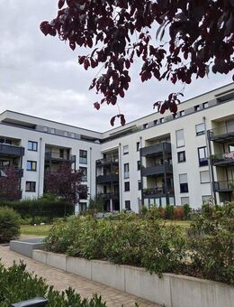 Von Privat: Moderne 4-Zimmer Wohnung in begehrter Lage von Langen - Langen (Hessen)
