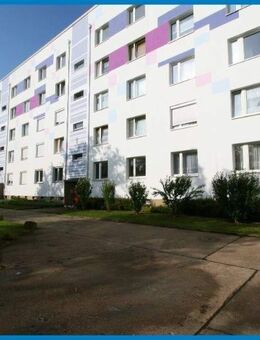 Geräumige 2-Raumwohnung in ruhiger Lage - Riesa