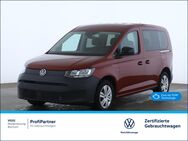 VW Caddy, , Jahr 2023 - Bochum