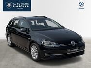 VW Golf, 1.5 TSI Var Comfortline, Jahr 2019 - Amelinghausen