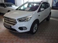 Ford Kuga Titanium Autom. 4x4 - Papenburg