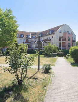 Eigennutzung oder Kapitalanlage: Gepflegte 2-Zimmer-Wohnung in Werneuchen Seefeld! - Werneuchen