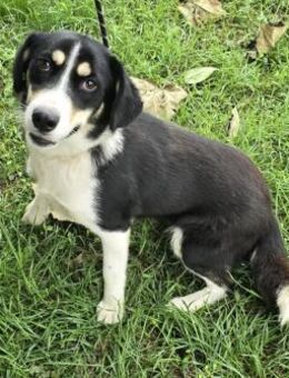 Nadia - die Unsichere - Süderbrarup