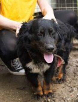 Toller Kerl Jamie - München