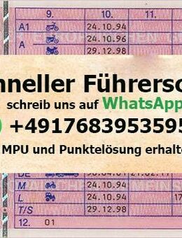 Fahrschullehrer bietet professionelle Fahrstunden an - Jena