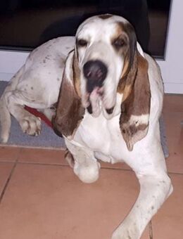 ELISABETH - sehr kapriziös....... - Kempen