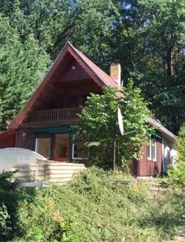 Wochenendhaus direkt am Wald und in Seenähe - Schwielowsee