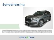 Skoda Kodiaq, 2.0 TDI Tour, Jahr 2024 - Lauf (Pegnitz)