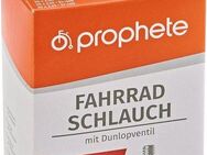 Prophete Fahrradschlauch Fahrradschlauch, 20 Zoll (50,80 cm)