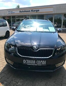 Skoda Octavia Combi 1,4 TSI Joy DSG Navi, Allwetter, ACC, ... - Guben