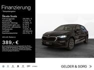 Skoda Scala, 1.0 TSI Tour ||||, Jahr 2022 - Schweinfurt