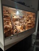 Terrarium 1.5m x 0.8m x 1m in 86556